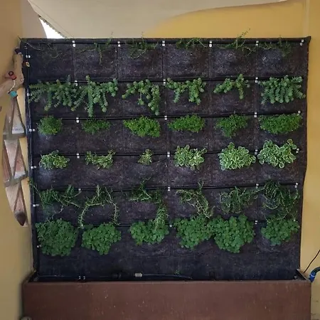 La Choza Apartamento Fuengirola