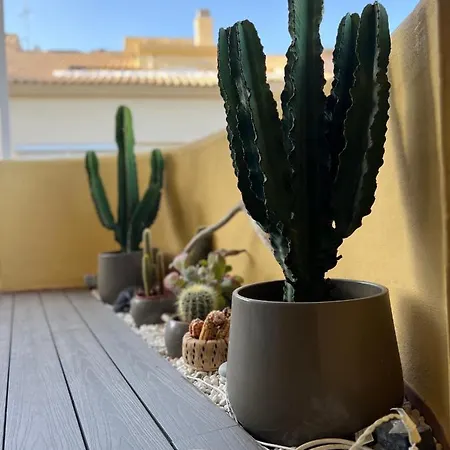 Appartement La Choza