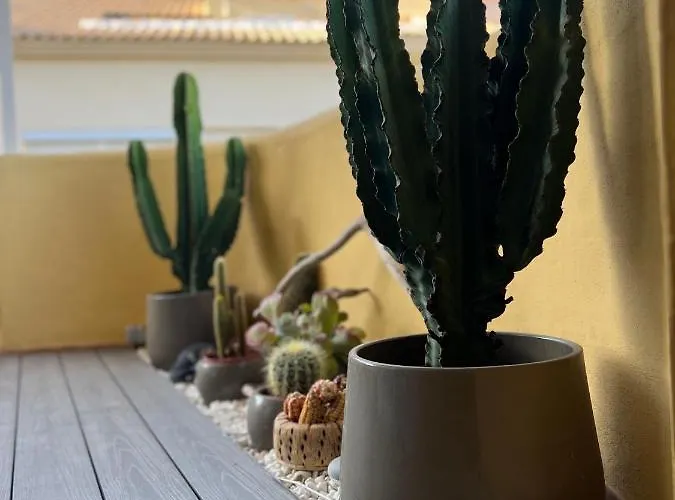 Appartement La Choza